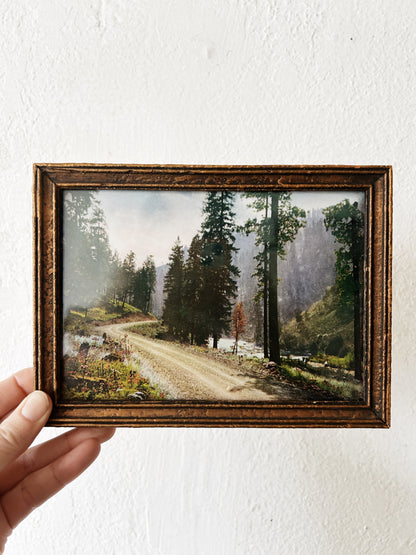 Antique Framed Forest Service Road Print