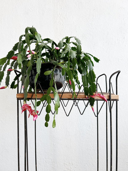 Victorian Era Iron Plant Stand or Bar