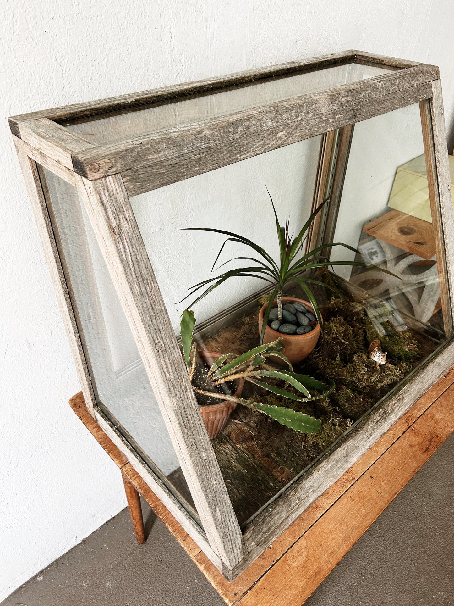Antique Display Case