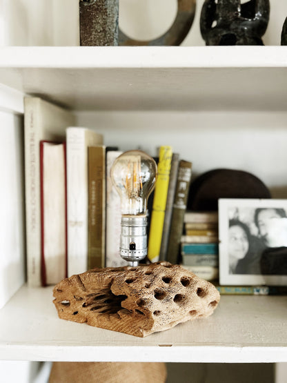 Cholla Lamp
