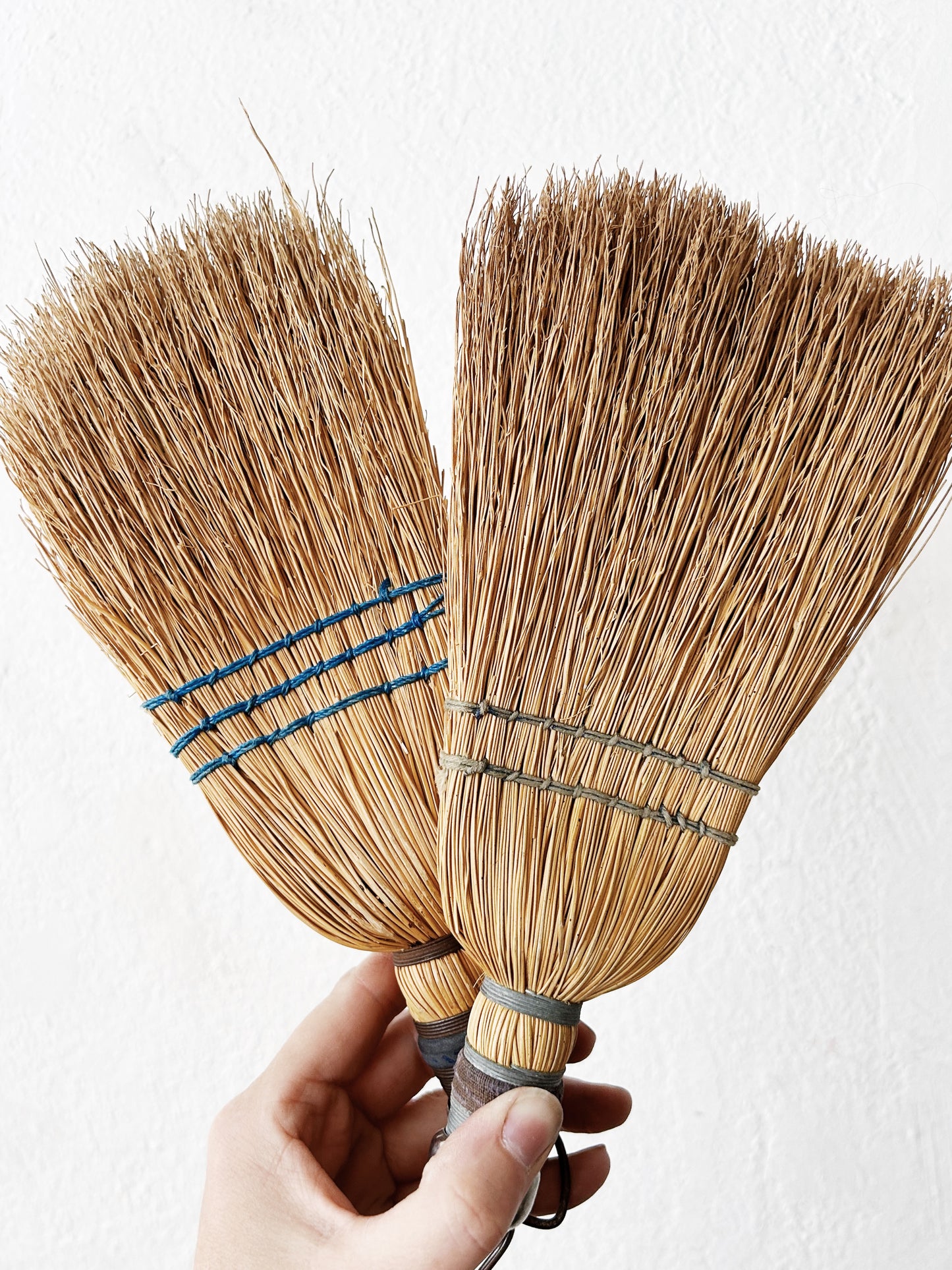 Vintage Whisk Broom