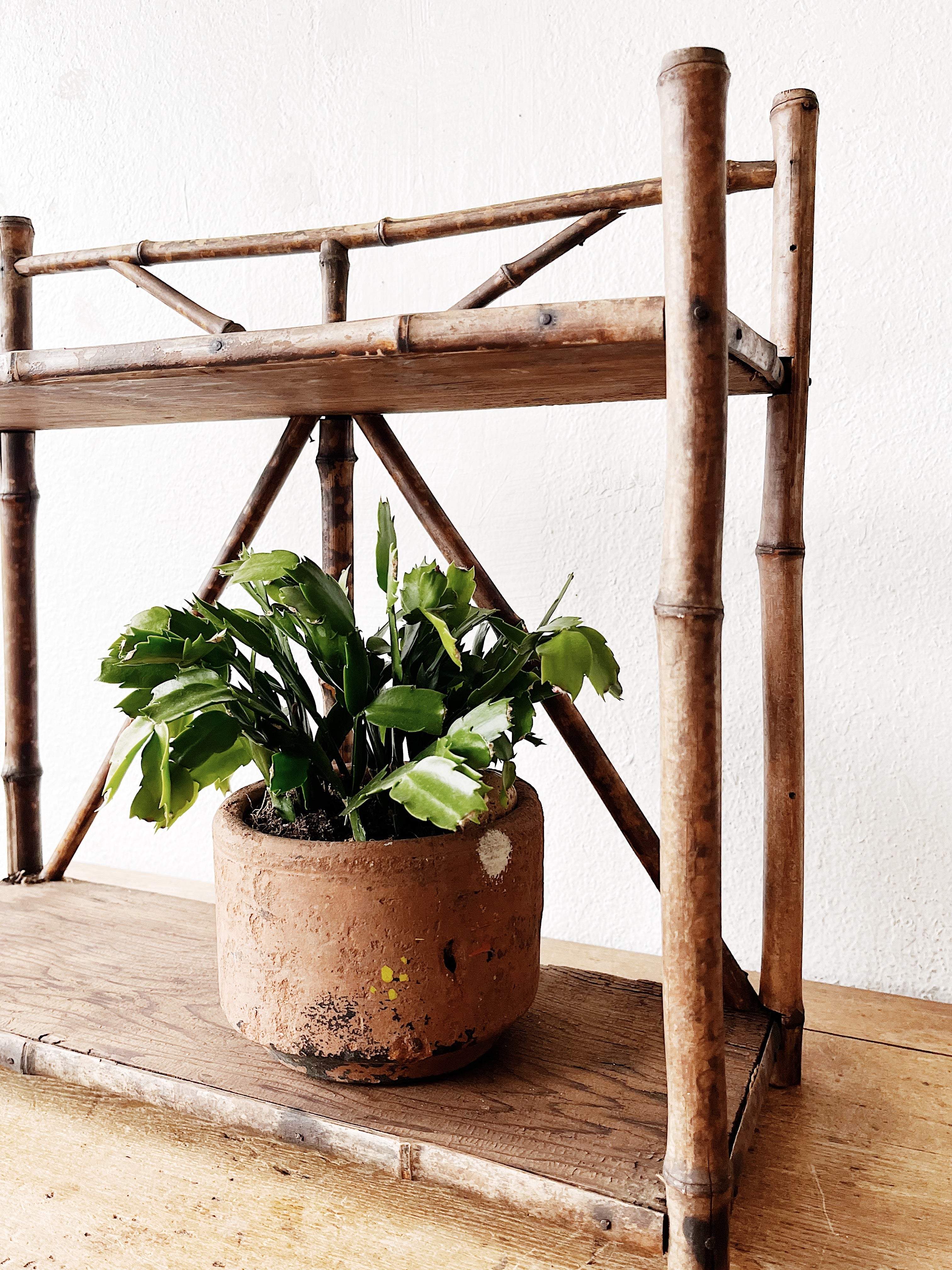 Antique Bamboo Shelf - Thumbnail 3