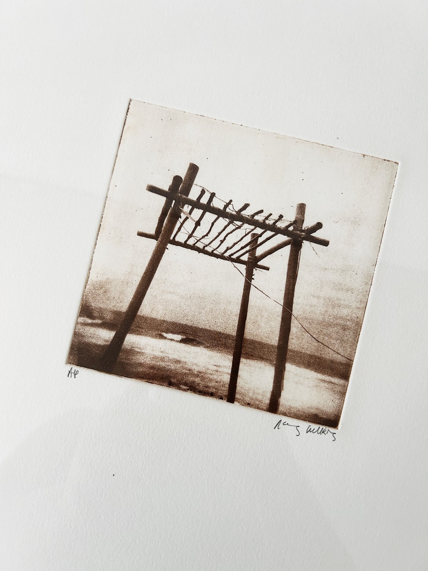 Nancy Wilkins Original Photo Etching