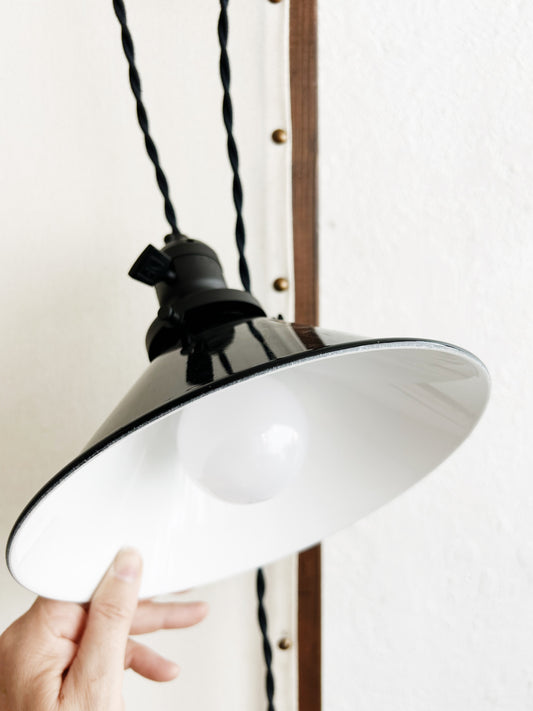 Rejuvenation Pendant Light