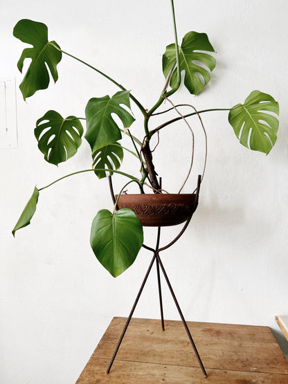 XL Mid Century Iron Plant Stand