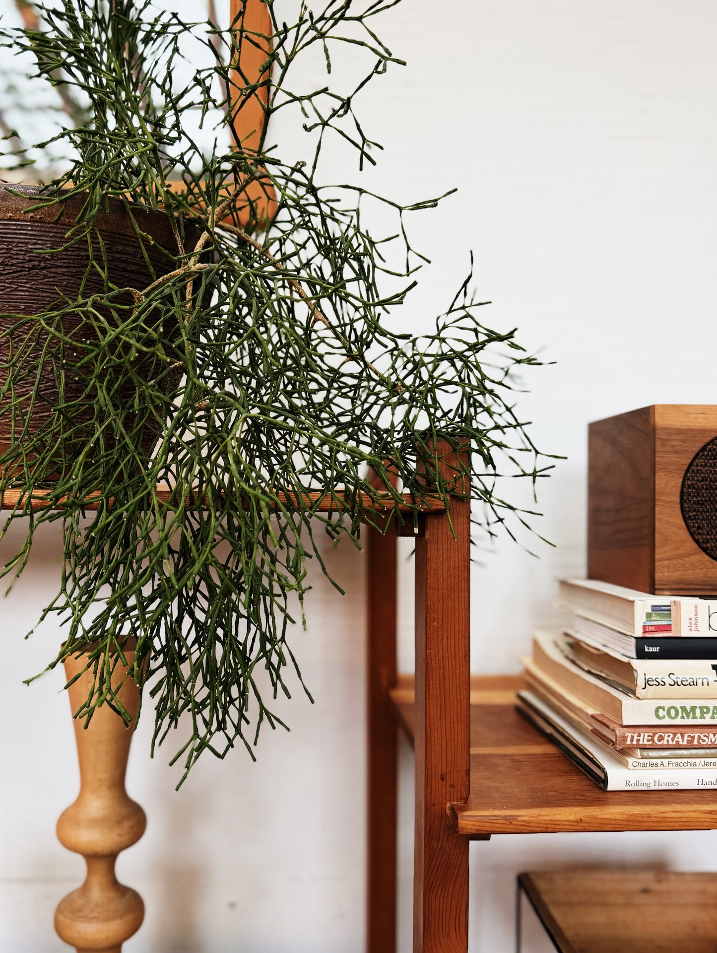 Handmade Low Wood Shelf