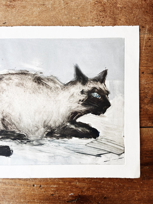 Vintage Cat Etching