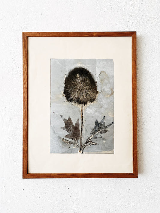 Large Vintage Botanical Etching