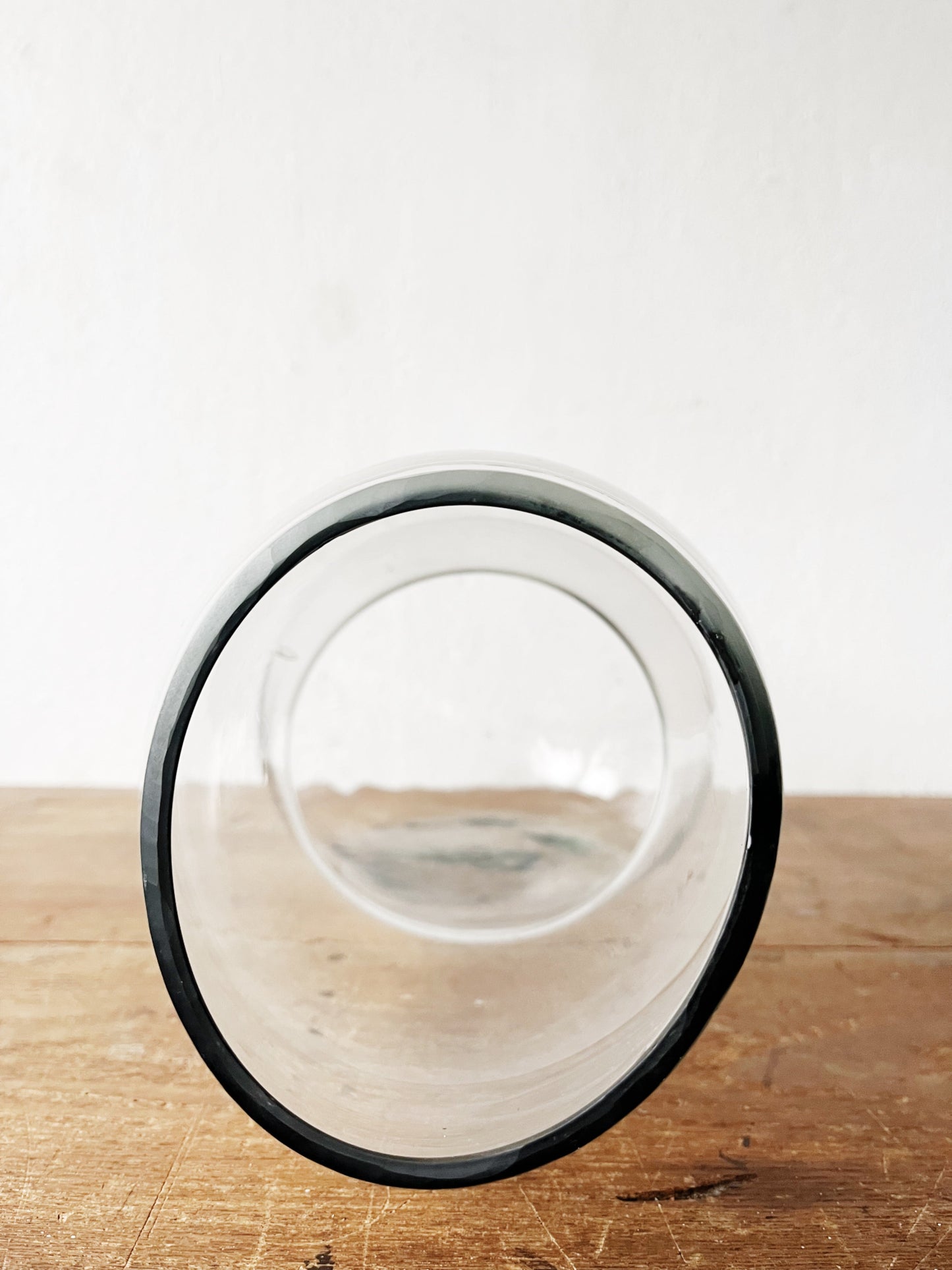 Large Biomorphic Blown Glass Terrarium or Water Garden