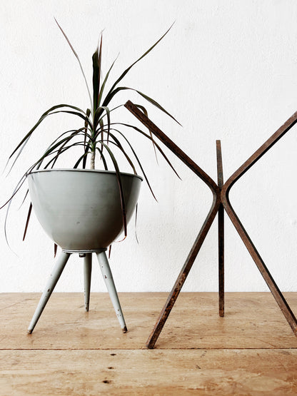 Mid Century Planty