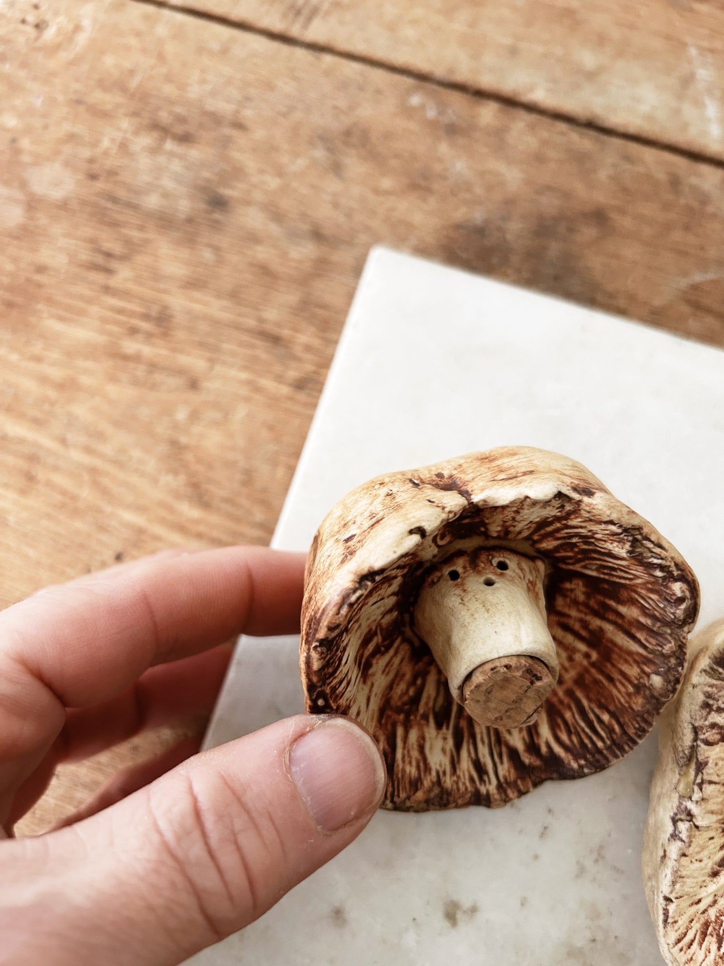 Ceramic Mushroom Salt and Pepper Shakers