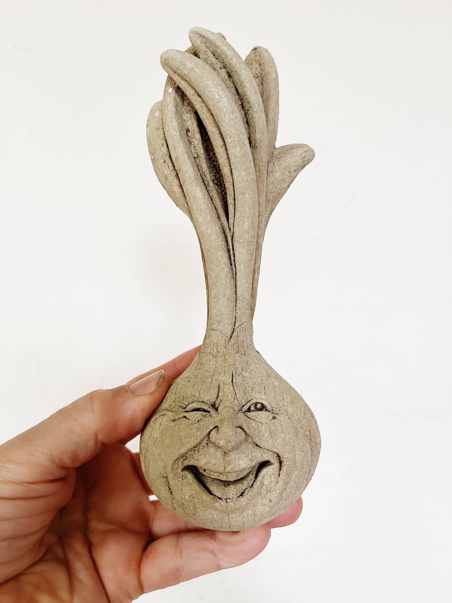 Artisan Made Veggie Faces