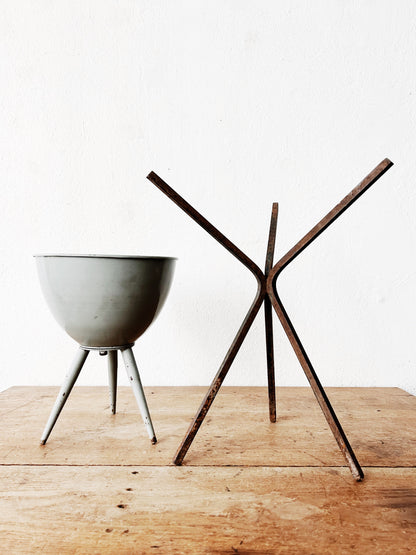 Mid Century Planty