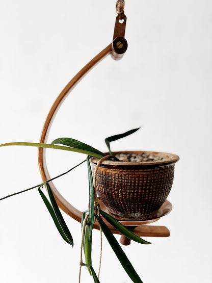 Bentwood Plant Hanger