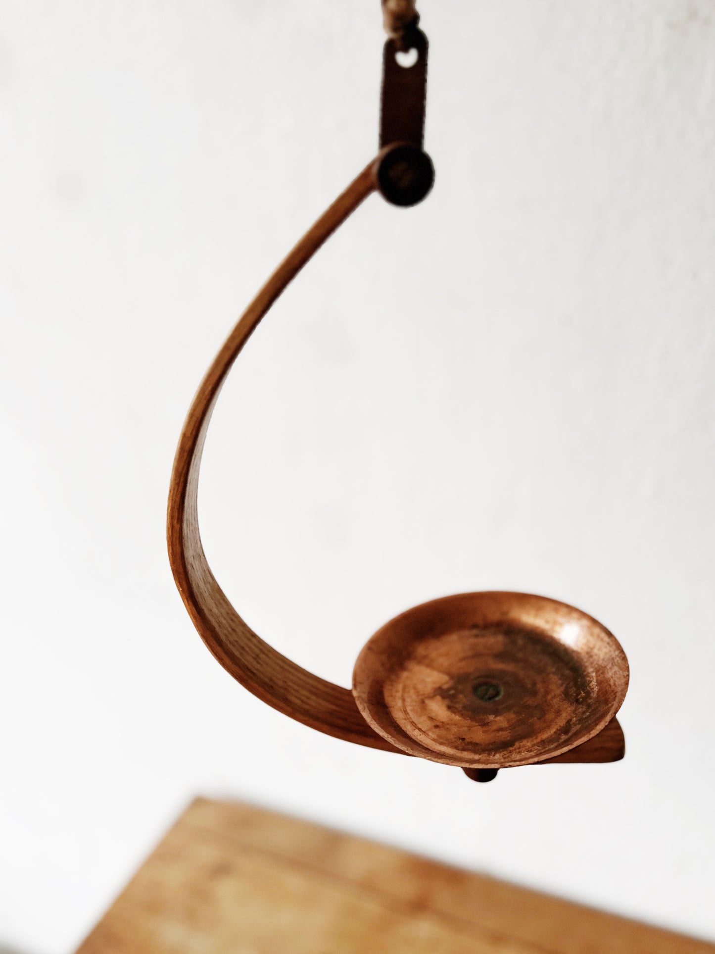 Bentwood Plant Hanger