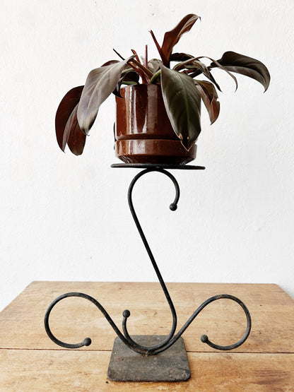 Mid Century Iron Plant Stand