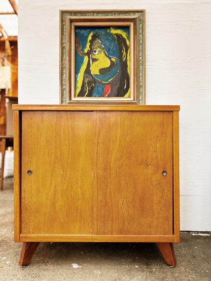 Vintage Sliding Door Cabinet