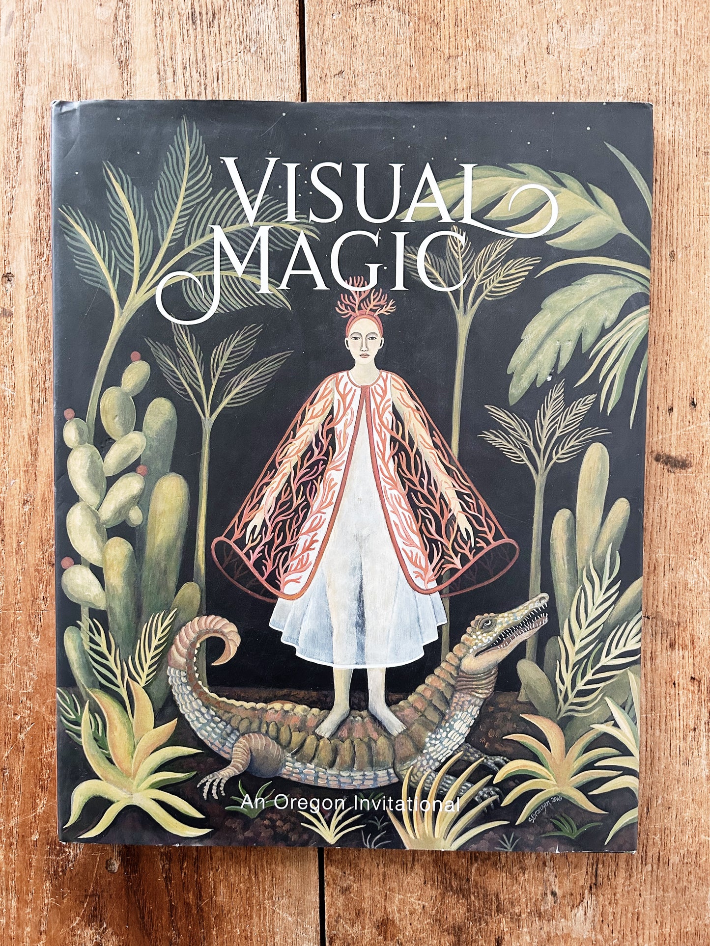 Visual Magic Hardcover Large Art Book