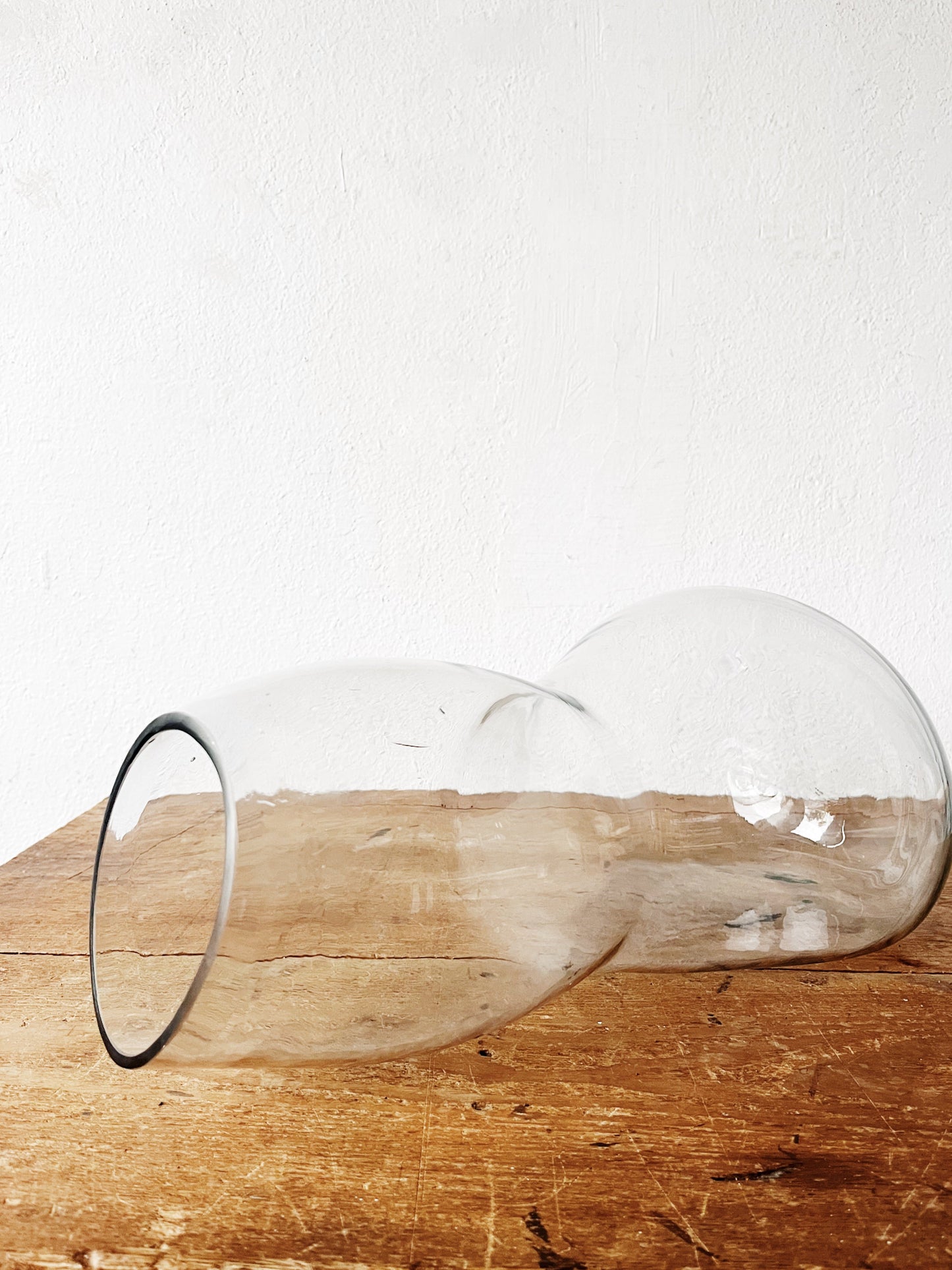 Large Biomorphic Blown Glass Terrarium or Water Garden