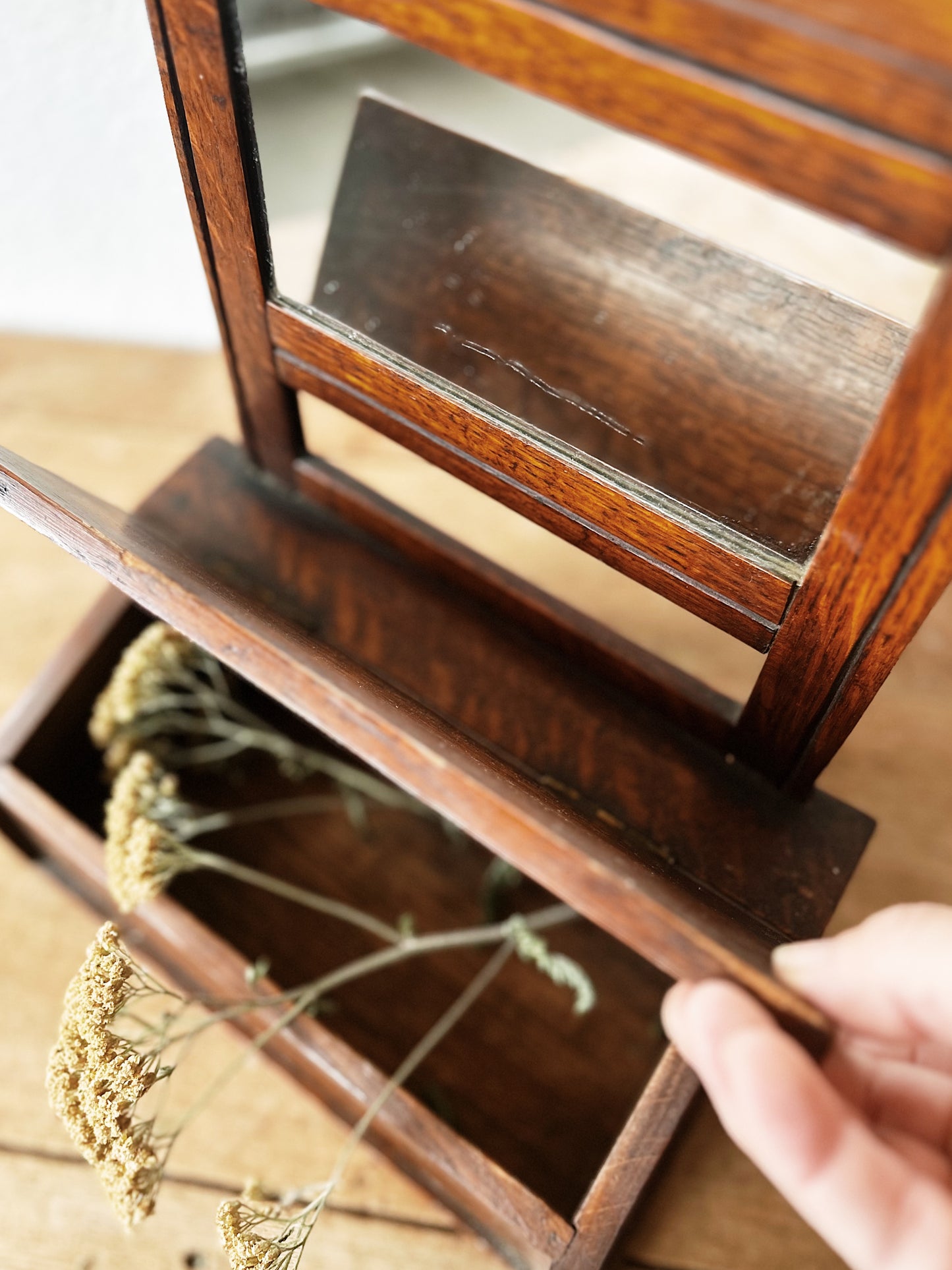 Primitive Mirrored Cabinet