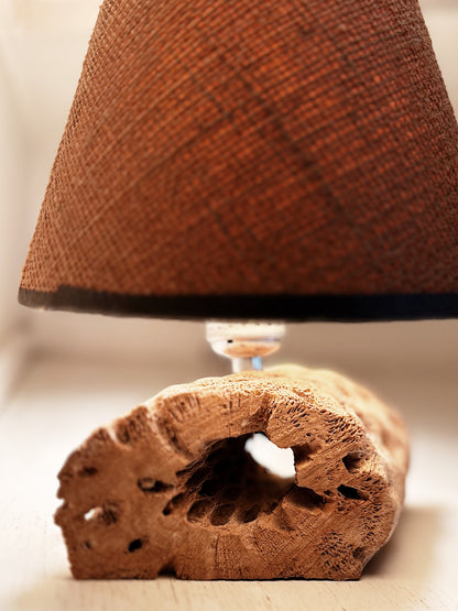 Cholla Lamp