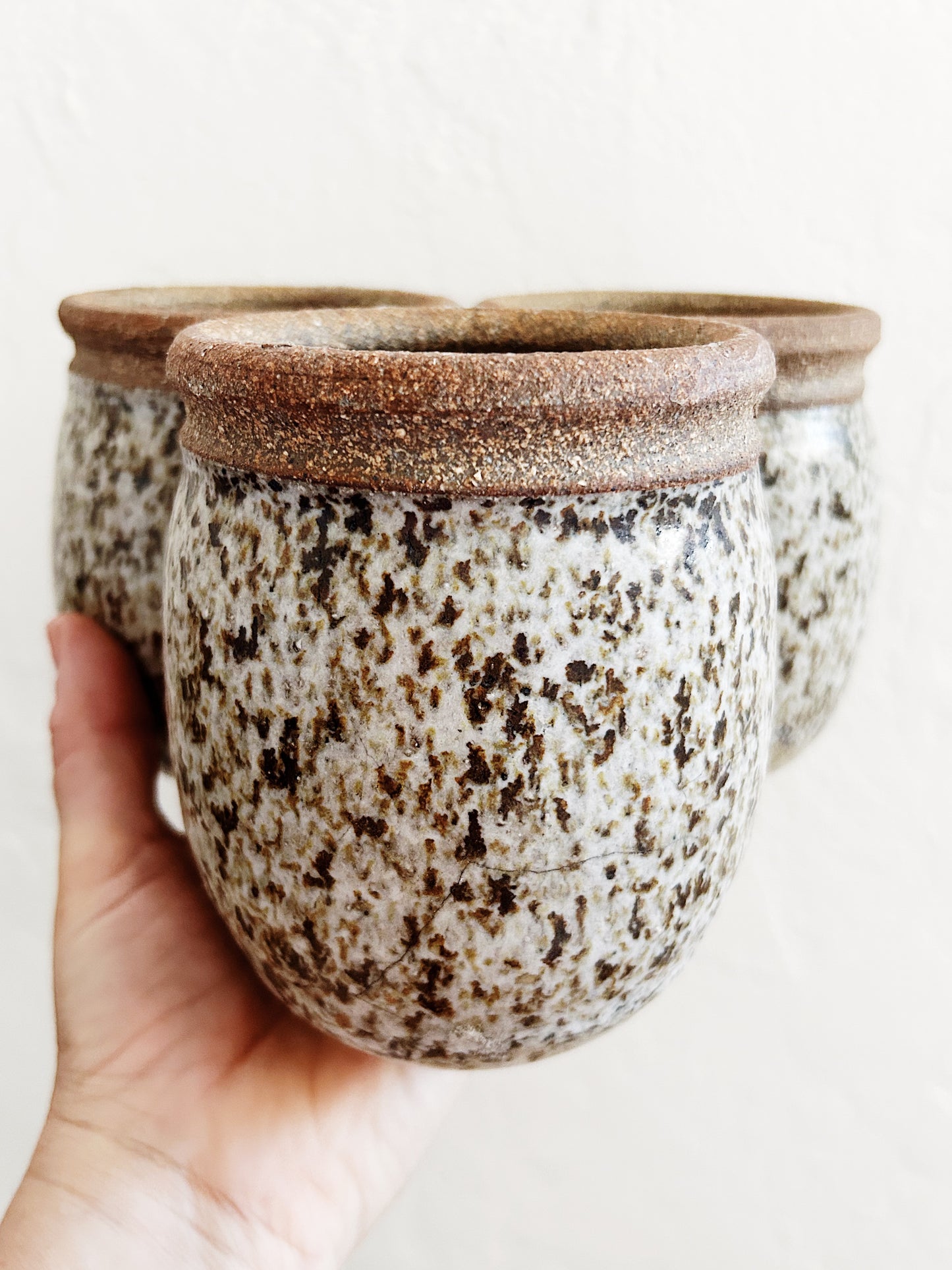Vintage Speckled Planter