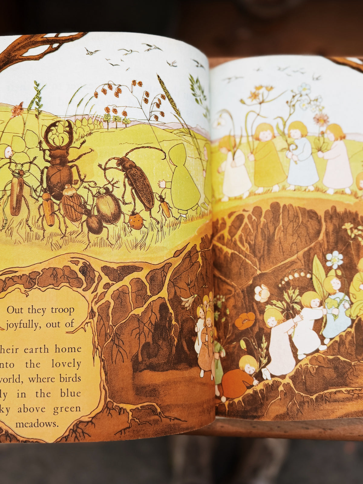 Vintage 1930s Picture Book