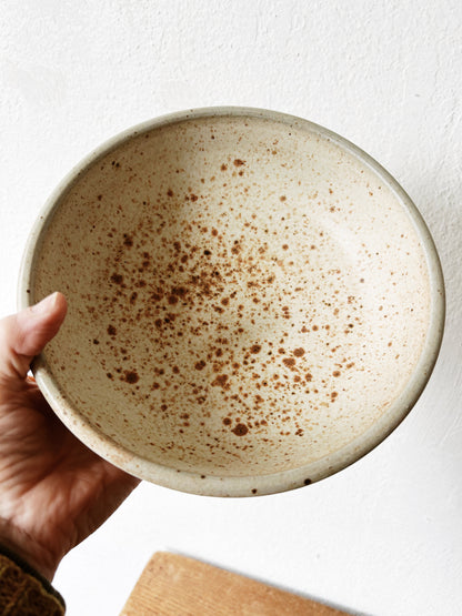 Vintage Cozy Season Stoneware