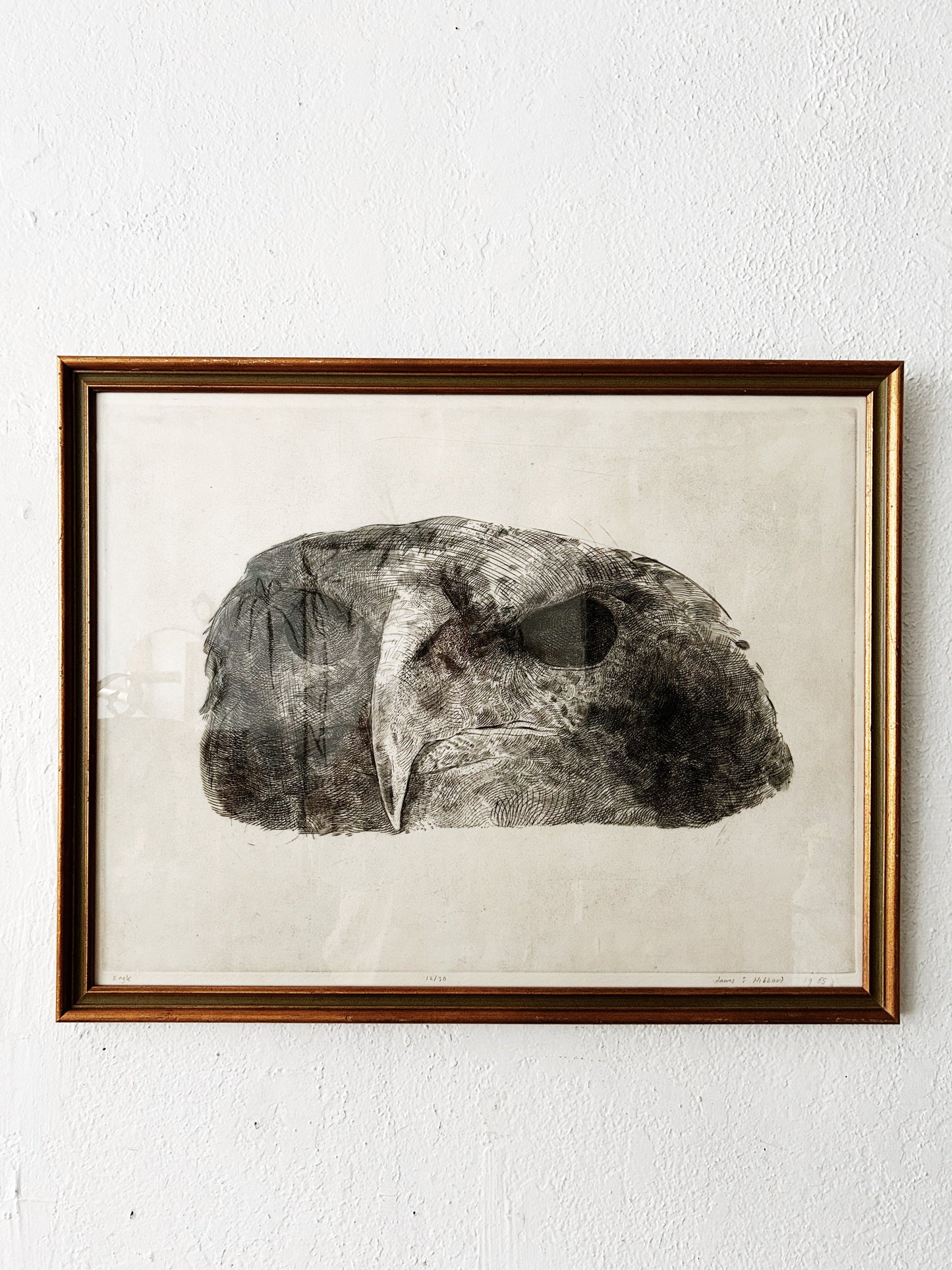 Mid Century James Hibbard Eagle Etching