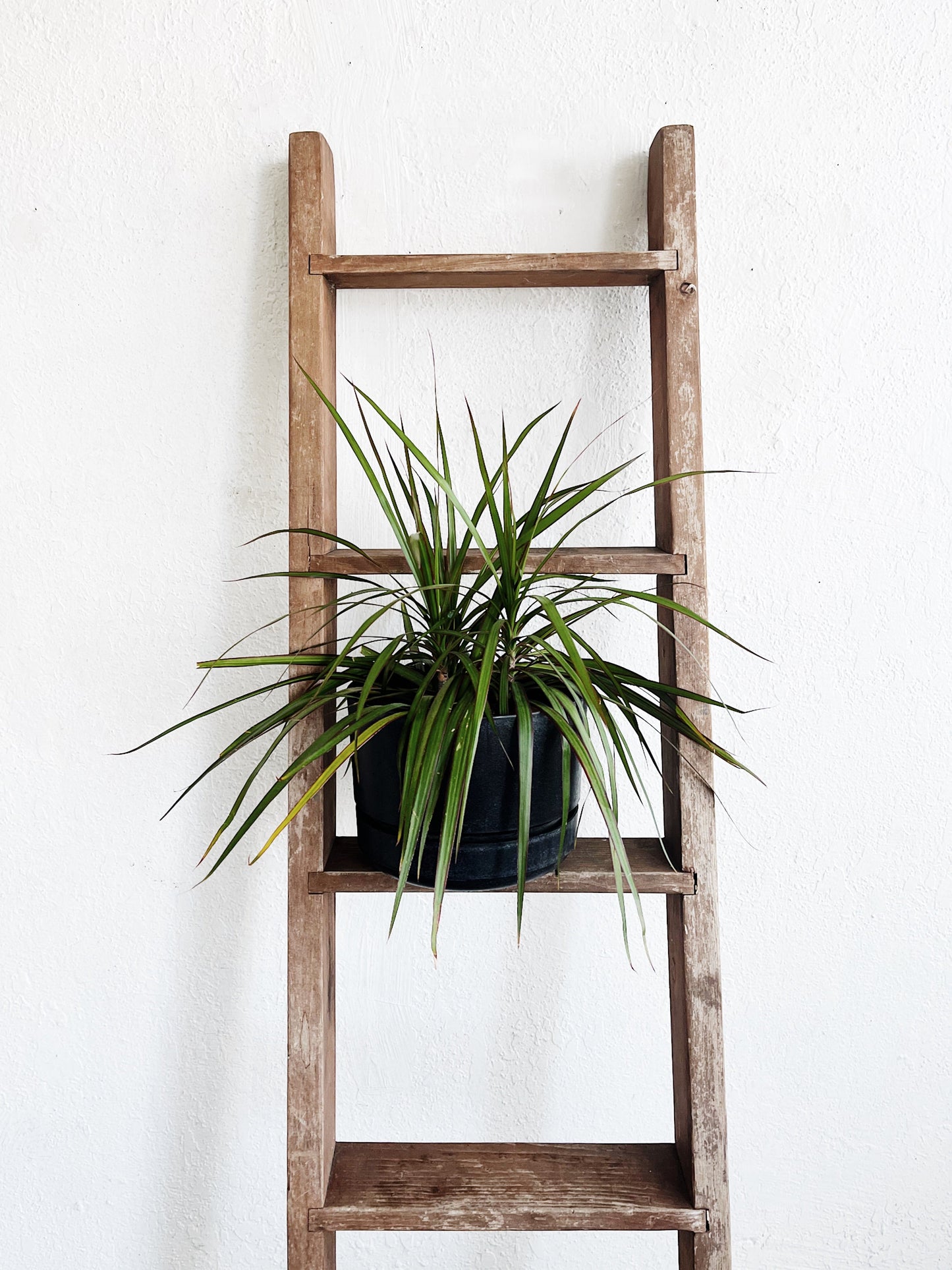 Vintage Wooden Bunk Ladder