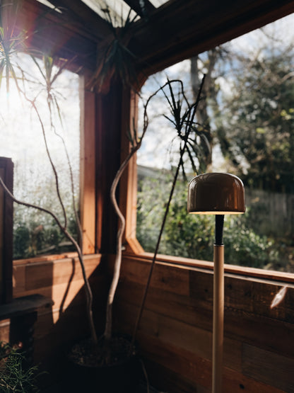 Vintage Fagerhults Cobra Floor Lamp