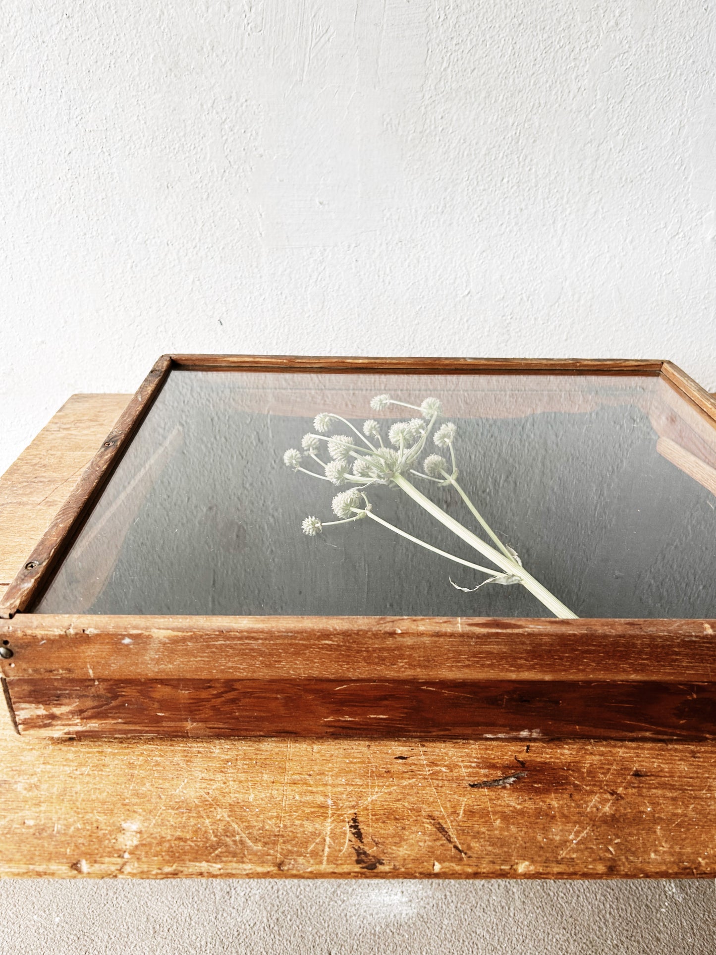 Vintage Display Case