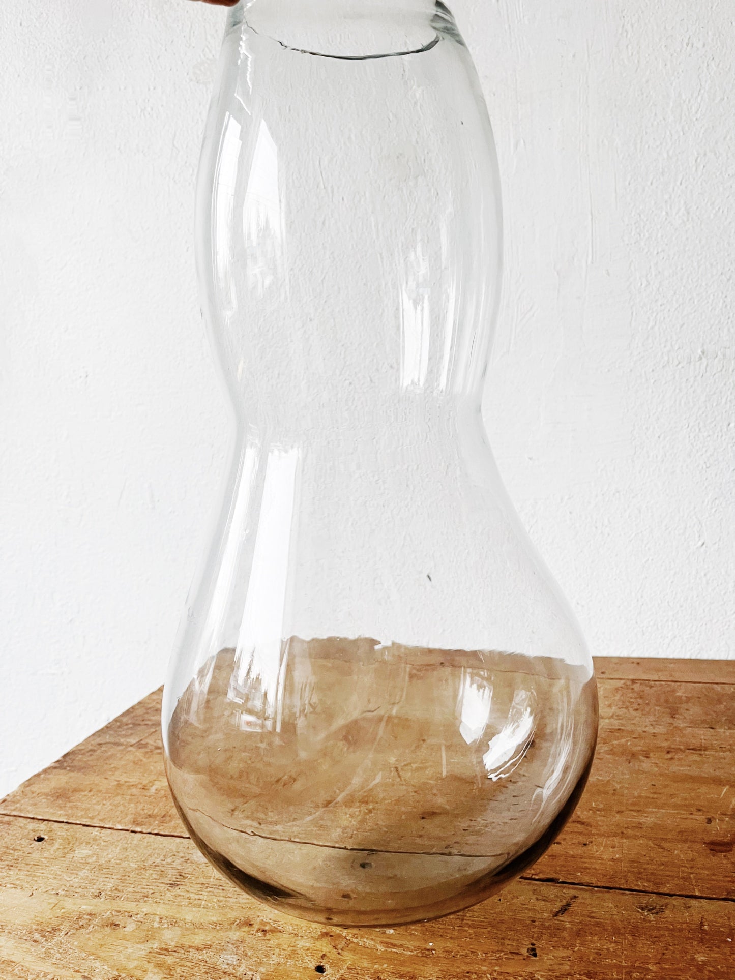 Large Biomorphic Blown Glass Terrarium or Water Garden
