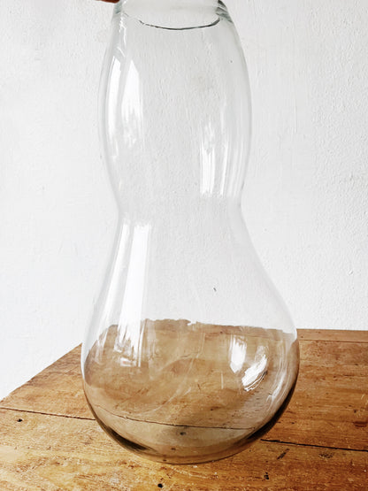 Large Biomorphic Blown Glass Terrarium or Water Garden