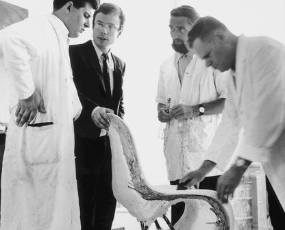 Classic Verner Panton Chair for Vitra