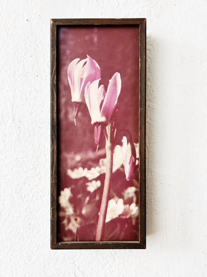 Vintage Box Framed Film Photograph