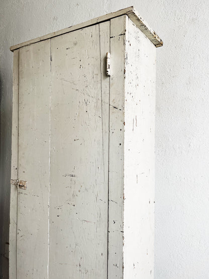 Primitive Cabinet
