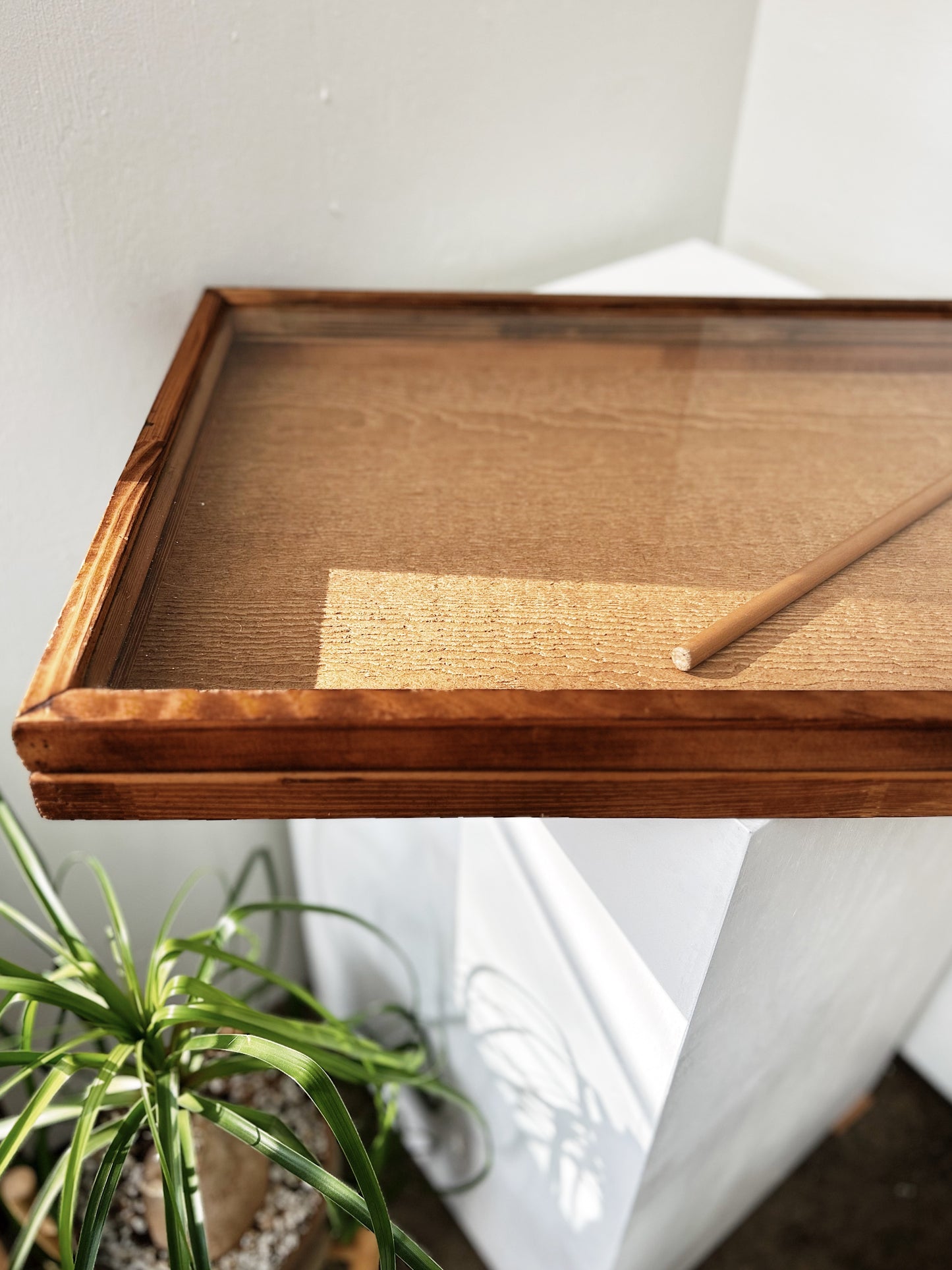 Vintage Display Case