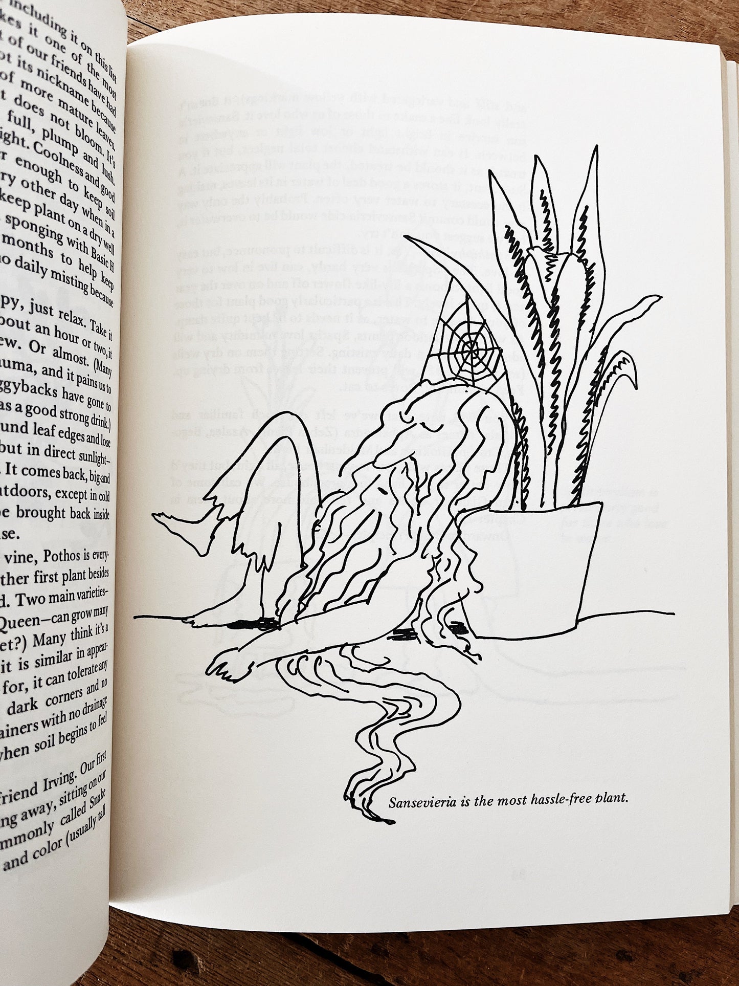 Vintage Plant Book