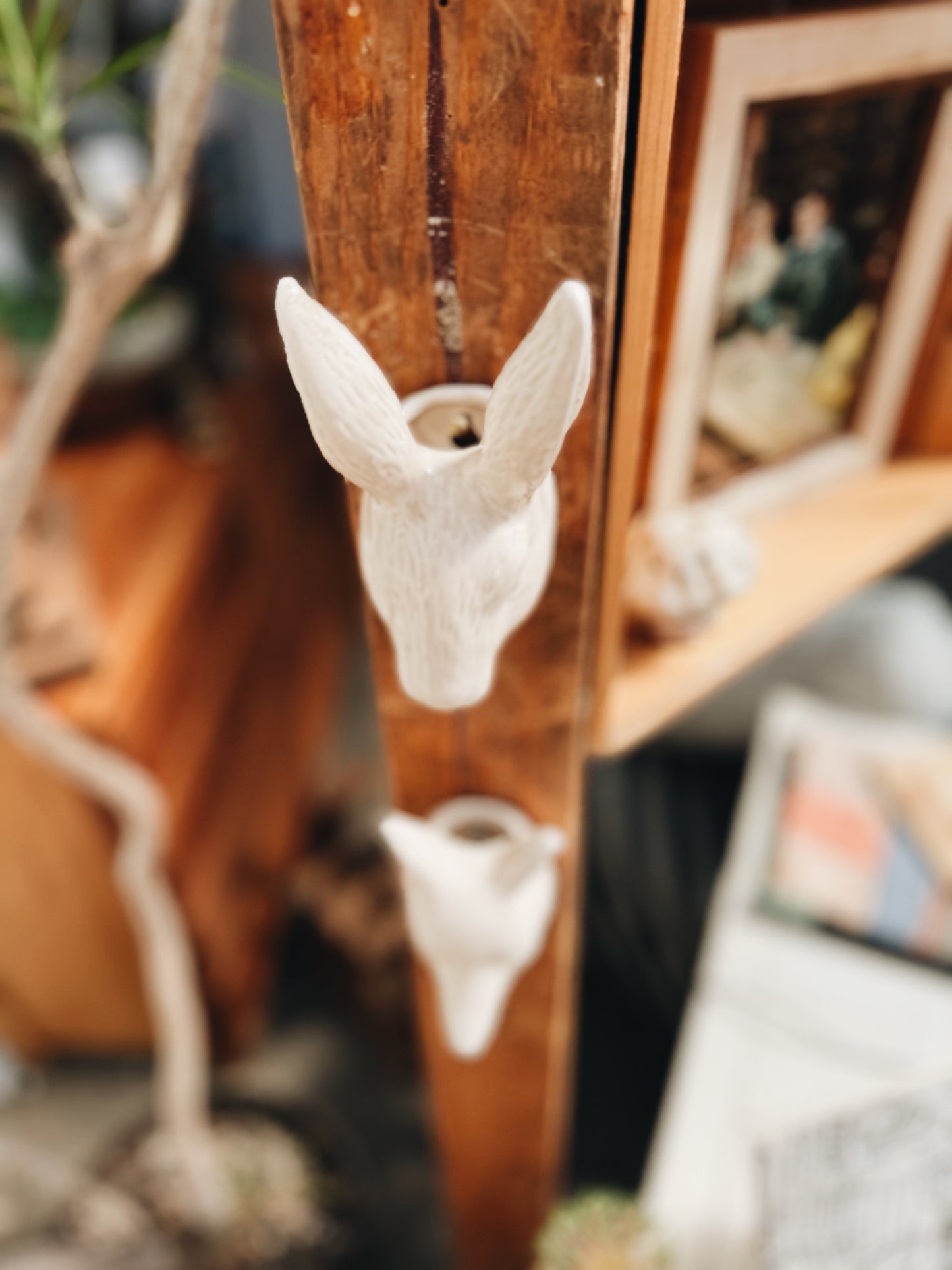 Ceramic Creature  Wall Vase or Planter