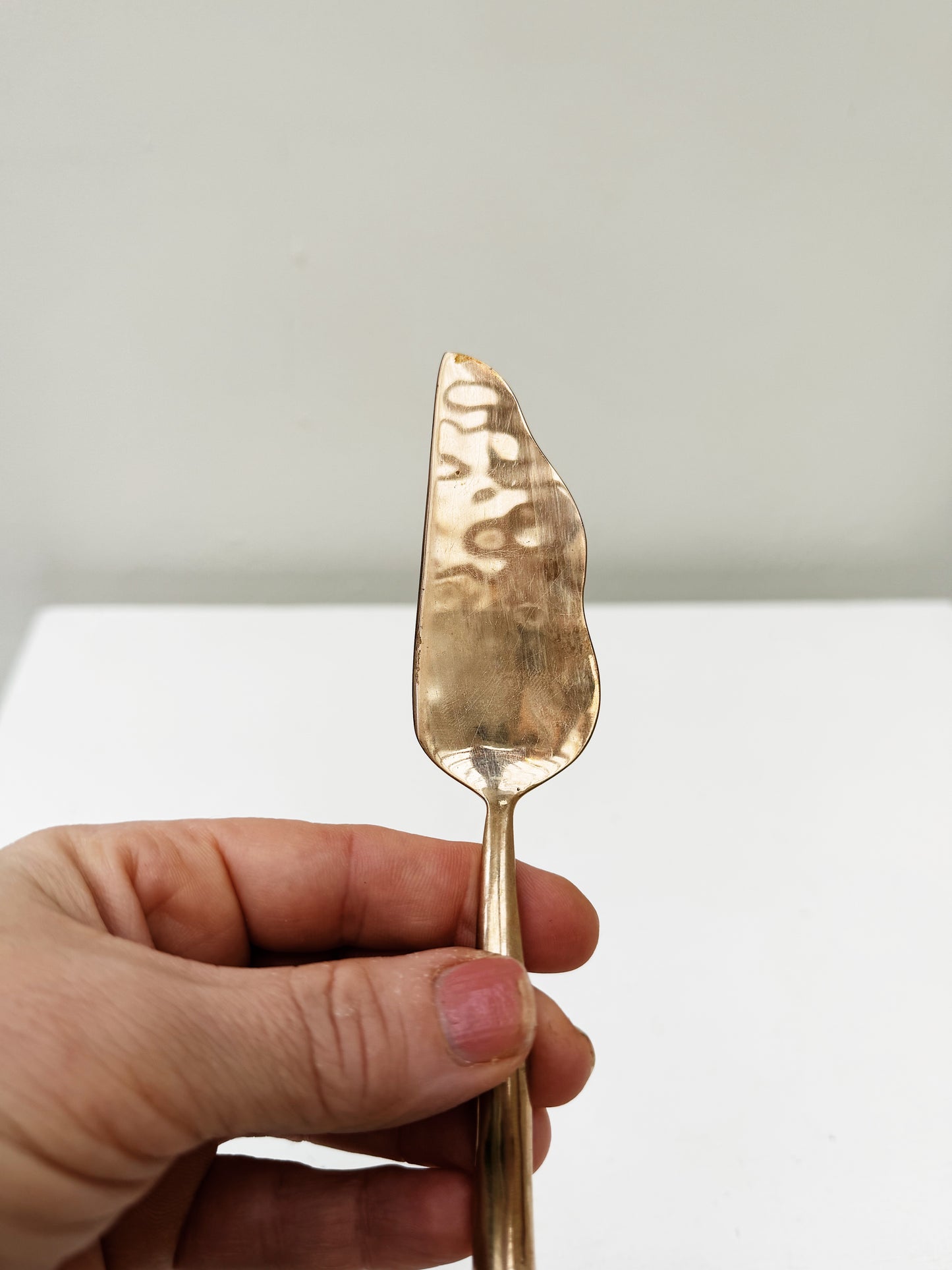 Izabel Lam Sphere Cheese Server