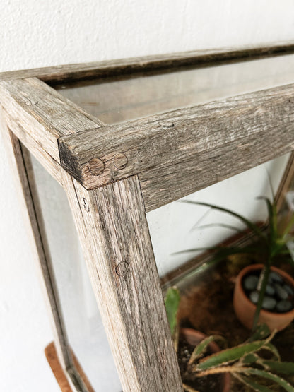 Antique Display Case
