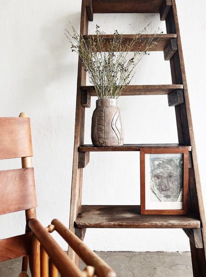 Antique Ladder Shelf