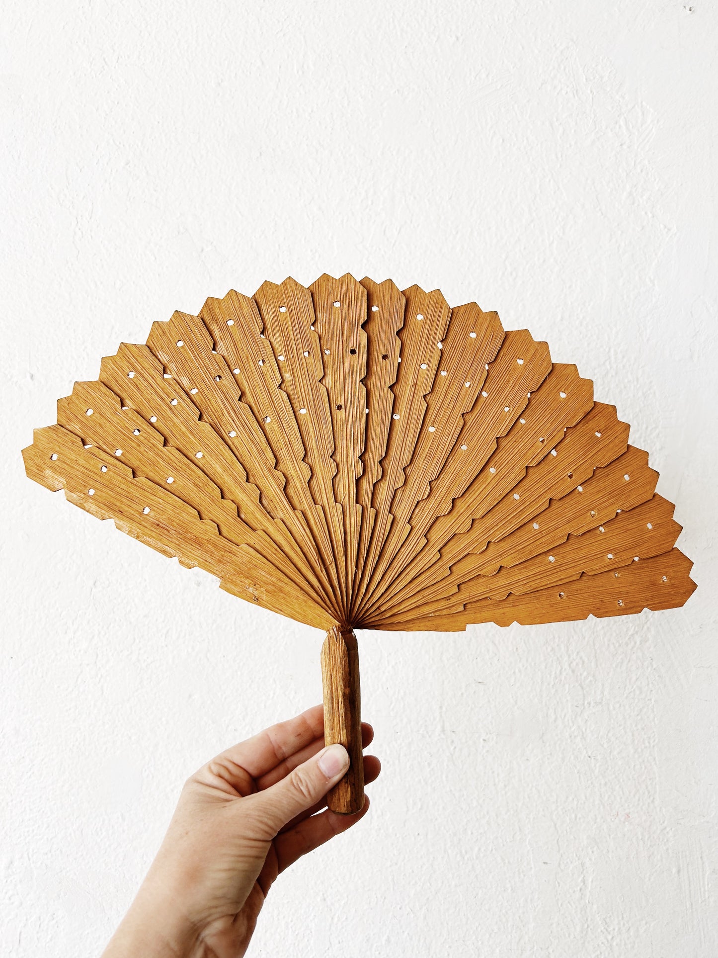 Vintage Hand Fan