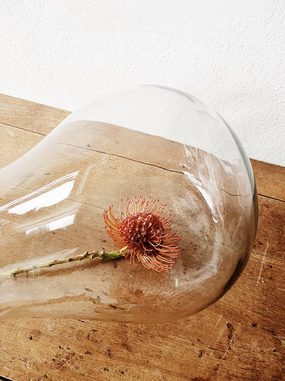 Large Biomorphic Blown Glass Terrarium or Water Garden