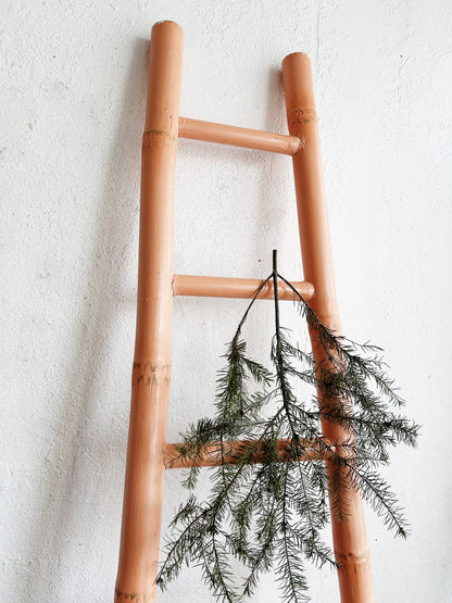 Tall Painted Bamboo Ladder