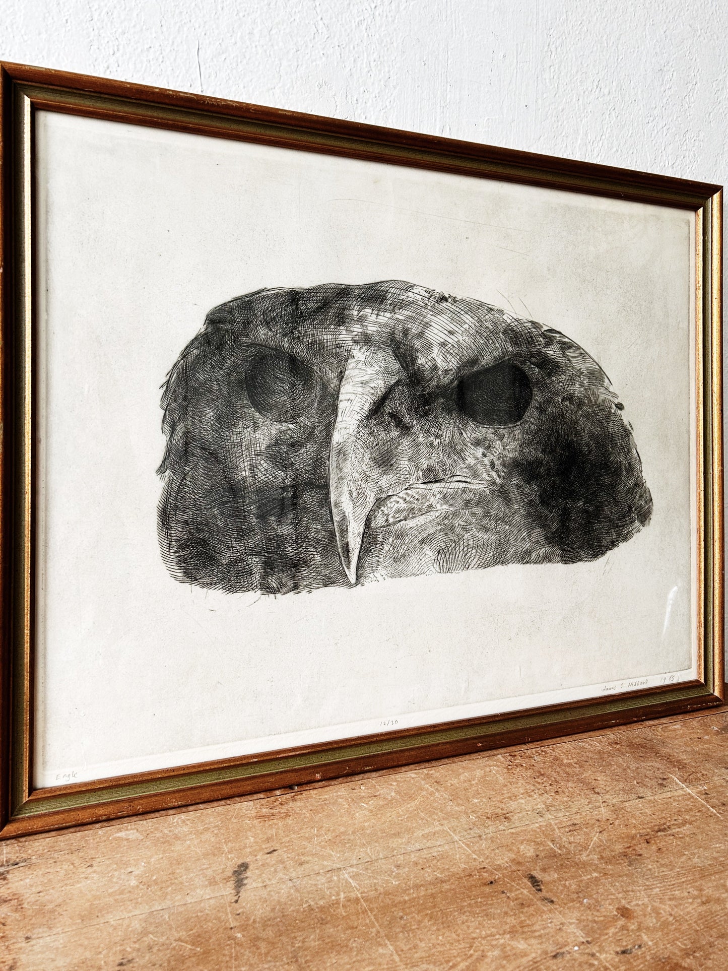 Mid Century James Hibbard Eagle Etching