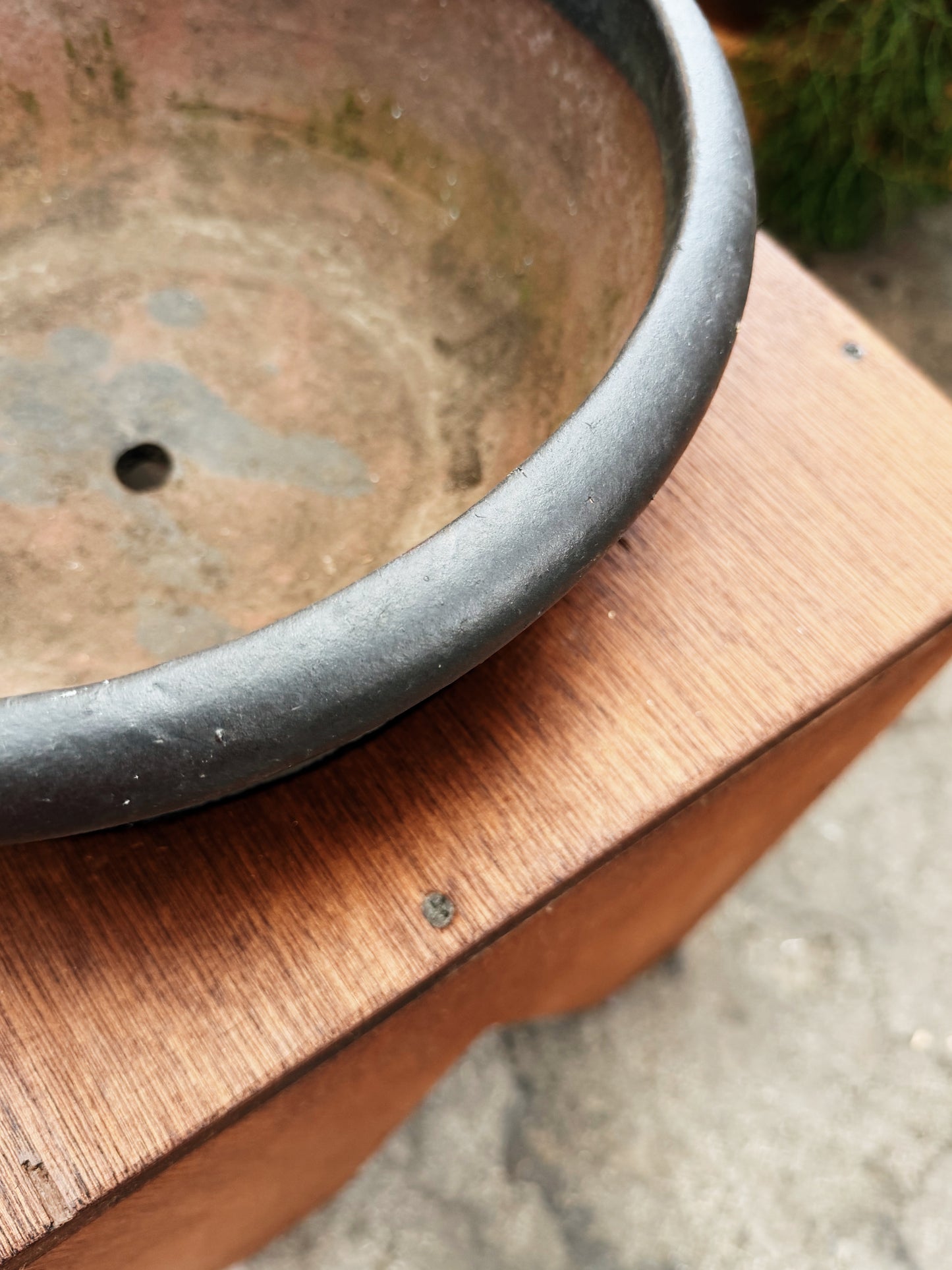 Handmade Plant Stand