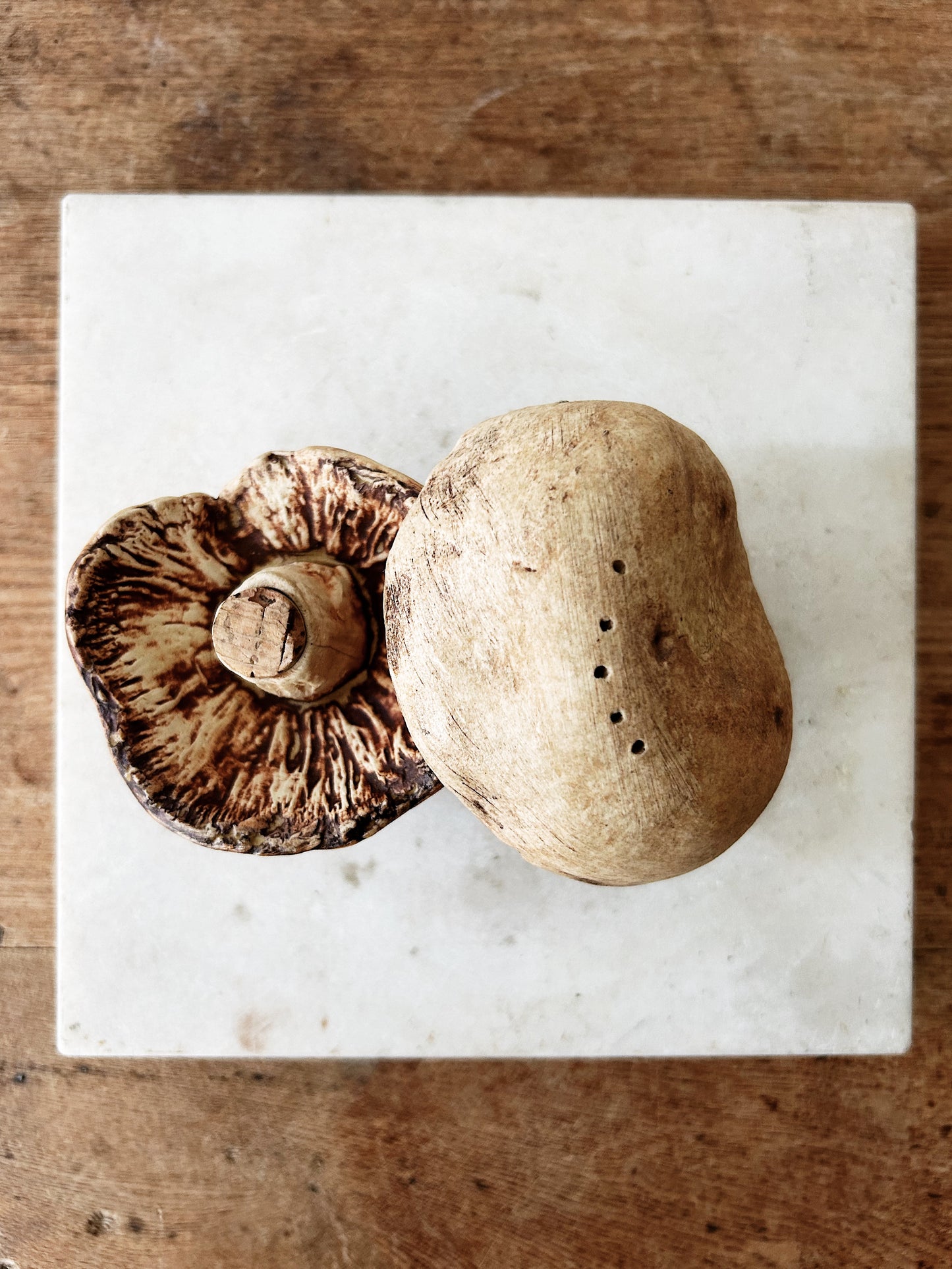 Ceramic Mushroom Salt and Pepper Shakers