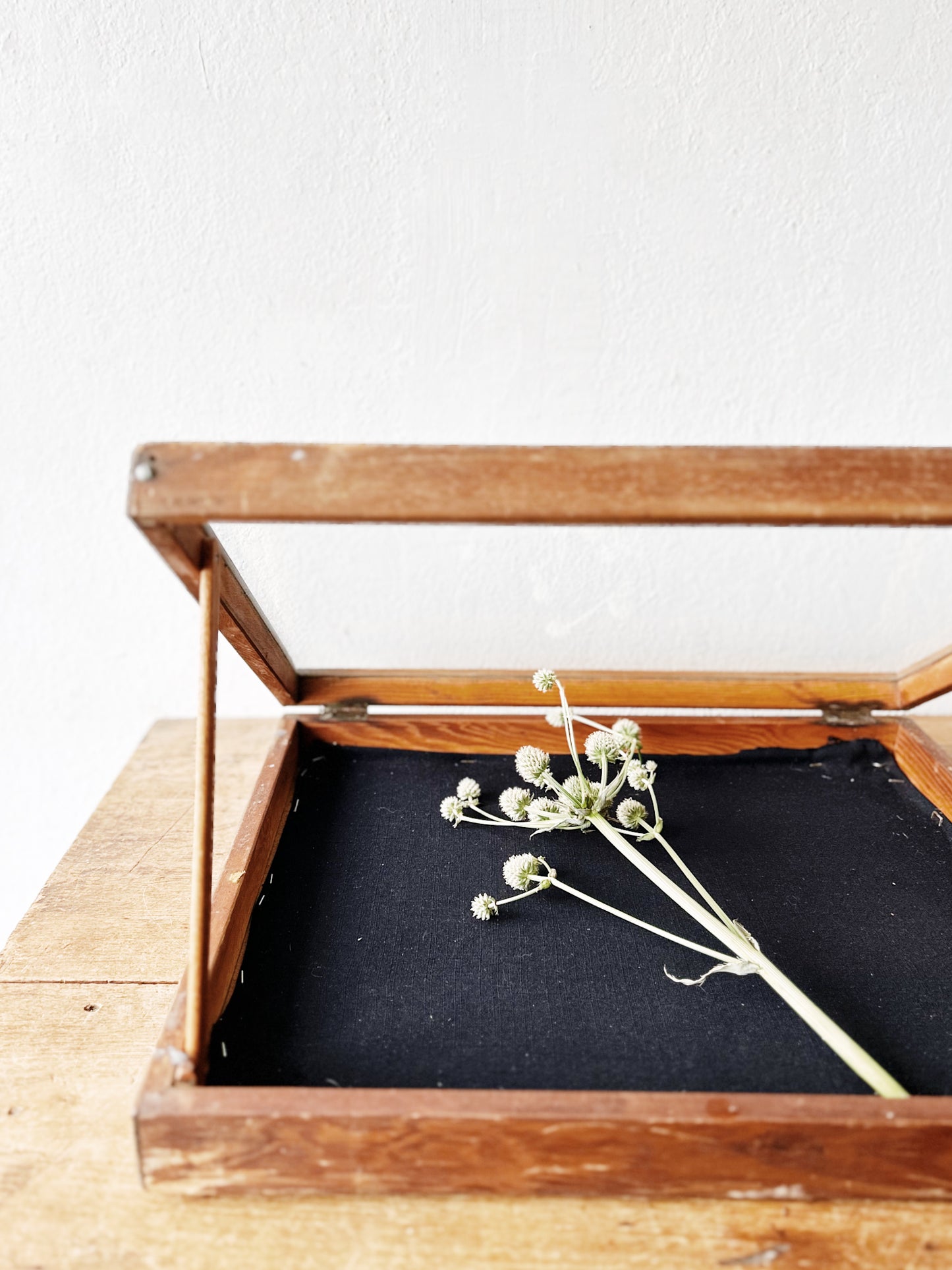 Vintage Display Case